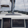 Ziphius